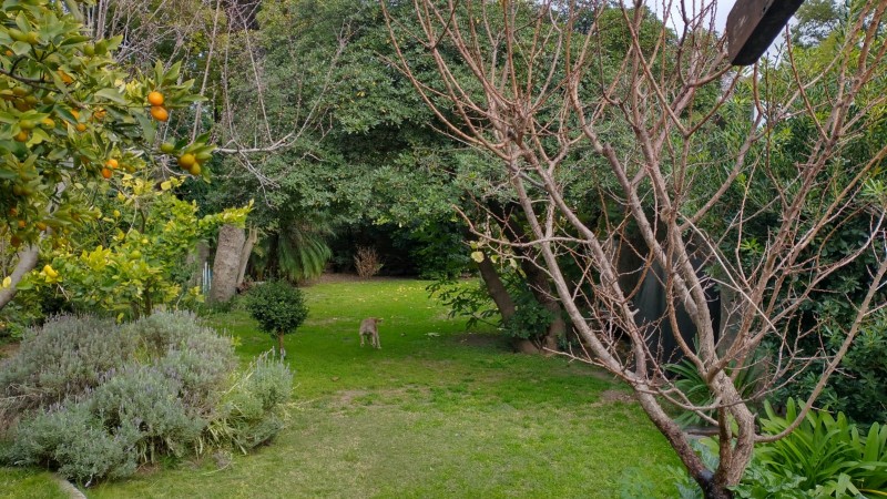 Hermoso chalet en venta en Villa Alemania