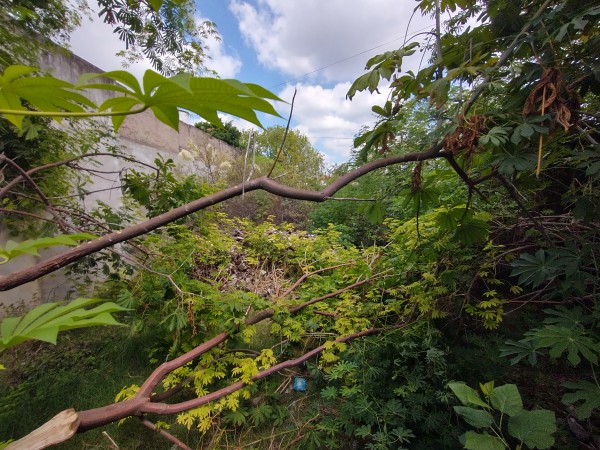 Lote /Terreno de 300 m2 Ubicación!!!