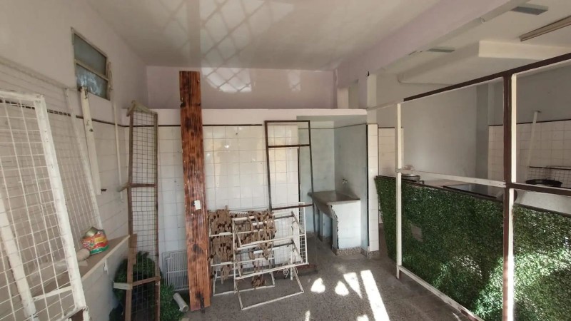 4 propiedades y un local